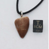 Collier pendentif dent de dinosaure dans une boite - Mosasaure (Maroc - 061**)