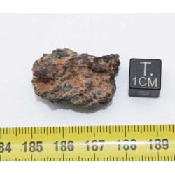 NWA 14056 Paired Achondrite HED Diogénite dans une boite (10.5 grammes - 013 **)