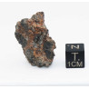 NWA 14056 Paired Achondrite HED Diogénite dans une boite (10.5 grammes - 013 **)