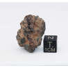 NWA 14056 Paired Achondrite HED Diogénite dans une boite (10.5 grammes - 013 **)