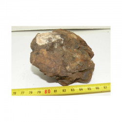 Meteorite NWA 4420 ( Achondrite - 452 grams - 041 )