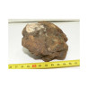 Meteorite NWA 4420 ( Achondrite - 452 grams - 041 )