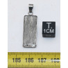 Collier pendentif météorite Aletaï dans une boite avec un cordon en cuir (Chine - 046 **)