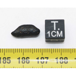Tectite Atacamaite dans une boite (Chili - 0.68 gramme - 010 **)