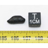 Tectite Atacamaite dans une boite (Chili - 0.68 gramme - 010 **)