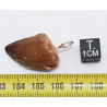 Collier pendentif dent de dinosaure dans une boite - Mosasaure (Maroc - 064**)