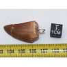 Collier pendentif dent de dinosaure dans une boite - Mosasaure (Maroc - 065**)