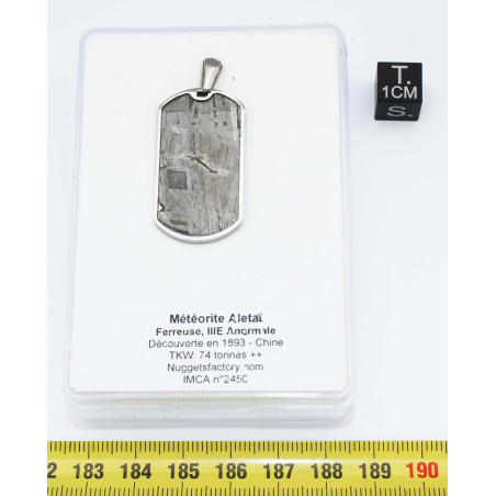 Collier pendentif météorite Aletaï dans une boite avec un cordon en cuir (Chine - 048 **)