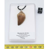 Collier pendentif dent de dinosaure dans une boite - Mosasaure (Maroc -  067**) Collier pendentif dent de dinosaure dans une boite - Mosasaure (Maroc -  067**)