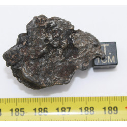 Météorite Campo del Cielo type Cristal  (Argentine - 57.2 grammes - 082**)