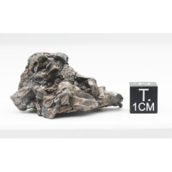 Météorite Campo del Cielo type Cristal  (Argentine - 57.2 grammes - 082**)