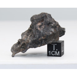 Météorite Campo del Cielo type Cristal  (Argentine - 57.2 grammes - 082**)