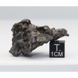 Météorite Campo del Cielo type Cristal  (Argentine - 57.2 grammes - 082**)