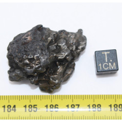 Météorite Campo del Cielo type Cristal  (Argentine - 57.2 grammes - 082**)