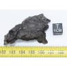 Météorite Campo del Cielo type Cristal  (Argentine - 63 grammes - 083**)