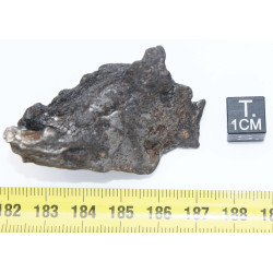 Météorite Campo del Cielo type Cristal  (Argentine - 63 grammes - 083**)