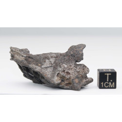 Météorite Campo del Cielo type Cristal  (Argentine - 63 grammes - 083**)