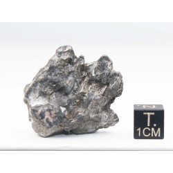 Météorite Campo del Cielo type Cristal  (Argentine - 52.30 grammes - 084**)