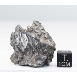 Météorite Campo del Cielo type Cristal  (Argentine - 52.30 grammes - 084**)