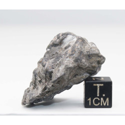 Météorite Campo del Cielo type Cristal  (Argentine - 52.30 grammes - 084**)