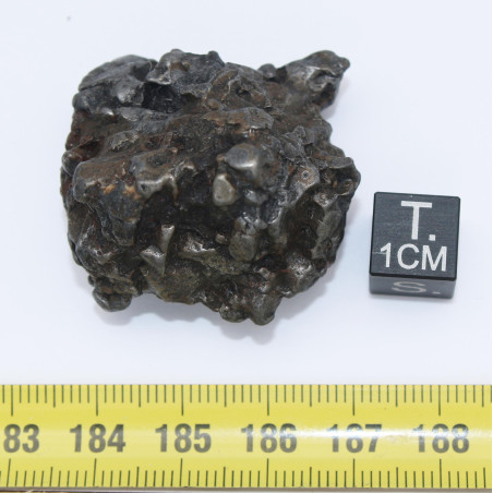 Météorite Campo del Cielo type Cristal  (Argentine - 76.05 grammes - 085**)