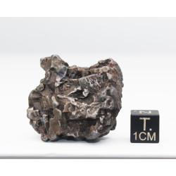 Météorite Campo del Cielo type Cristal  (Argentine - 76.05 grammes - 085**)