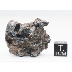 Météorite Campo del Cielo type Cristal  (Argentine - 76.05 grammes - 085**)