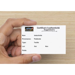 Tectite Indochinite dans une boite ( Thaïlande - 12.25 grammes - 009 ** )