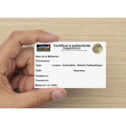 Talon de Météorite Lunaire NWA 13739 dans une boite Feld Breccia (Algérie - 0.240 gramme - 005 **)