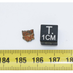 Talon de Météorite Lunaire NWA 13739 dans une boite Feld Breccia (Algérie - 0.240 gramme - 005 **)