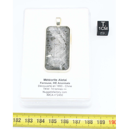 Collier pendentif météorite Aletaï dans une boite avec un cordon en cuir (Chine - 049 **)