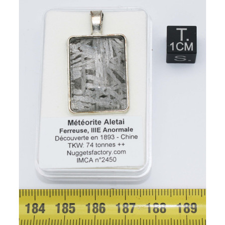 Collier pendentif météorite Aletaï dans une boite avec un cordon en cuir (Chine - 056 **)
