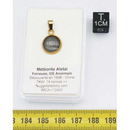 Collier pendentif météorite Aletaï dans une boite avec un cordon en cuir (Chine - 061**)