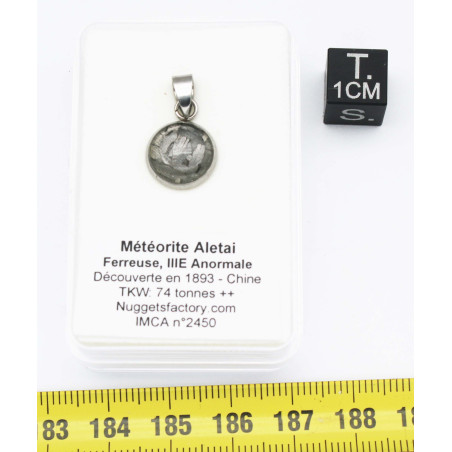 Collier pendentif météorite Aletaï dans une boite avec un cordon en cuir (Chine - 064**)