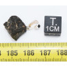 Collier pendentif météorite Chondrite NWA 869 ( Sahara - 2.80 grammes - 009** )