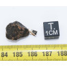 Collier pendentif météorite Chondrite NWA 869 ( Sahara -3.31 grammes - 010** )