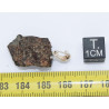 Collier pendentif météorite Chondrite NWA 869 ( Sahara -5.0 grammes - 011** )