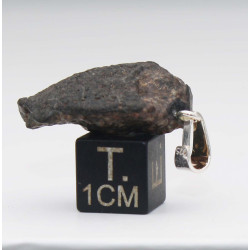 Collier pendentif météorite Chondrite NWA 869 ( Sahara -5.0 grammes - 011** )
