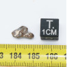 Météorite Lunaire Laâyoune 002 dans une boite Feld Breccia ( Maroc - 0.35 gramme - 062 ** )