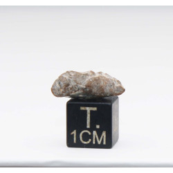 Météorite Lunaire Laâyoune 002 dans une boite Feld Breccia ( Maroc - 1.05 gramme - 063 ** )