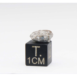 Météorite Lunaire Laâyoune 002 dans une boite Feld Breccia ( Maroc - 0.65 gramme - 065 ** )