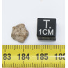 Météorite Lunaire Laâyoune 002 dans une boite Feld Breccia ( Maroc - 0.40 gramme - 067 ** )