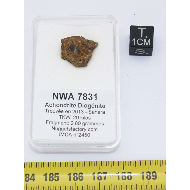 Talon de météorite NWA 7831 Achondrite HED Diogénite ( 2.80 grammes - 012** )