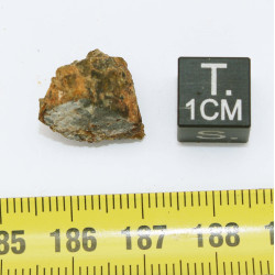 Talon de météorite NWA 7831 Achondrite HED Diogénite ( 2.80 grammes - 012** )