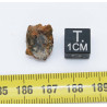 Talon de météorite NWA 7831 Achondrite HED Diogénite ( 2.80 grammes - 012** )