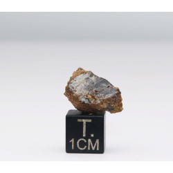 Talon de météorite NWA 7831 Achondrite HED Diogénite ( 2.80 grammes - 012** )