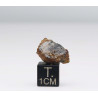 Talon de météorite NWA 7831 Achondrite HED Diogénite ( 2.80 grammes - 012** )