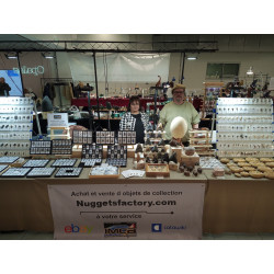 Collier pendentif météorite Aletaï dans une boite avec un cordon en cuir (Chine - 072**)