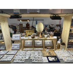 Impactite du cratère de Monturaqui dans une boite (Chili - 1.50 gramme - 005 **)