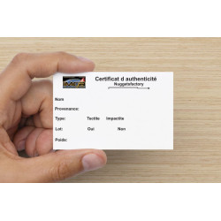 Impactite du cratère de Monturaqui dans une boite (Chili - 1.50 gramme - 005 **)